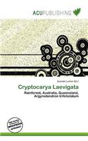 Cryptocarya Laevigata