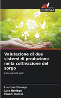 Valutazione di due sistemi di produzione nella coltivazione del sorgo