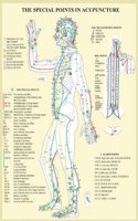 Special Points in Acupunture -- A4