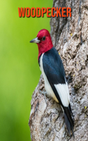 Woodpecker