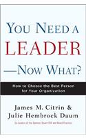 You Need a Leader--Now What?: How to Choose the Best Person for Your Organization