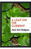 Leaf on the Current