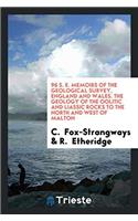 96 S. E. Memoirs of the Geological Survey, England and Wales. the Geology of the Oolitic and Liassic Rocks to the North and West of Malton