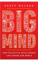 Big Mind
