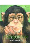 Chimpanzees