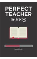 Perfect Teacher in process