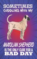 Sometimes Cuddling With My Anatolian Shepherd Is The Only Cure For A Bad Day