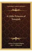 Little Princess of Tonopah