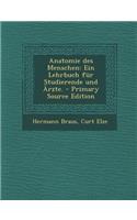 Anatomie Des Menschen