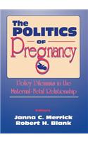 The Politics of Pregnancy