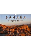 Le Sahara l'Algerie du Sud 2017
