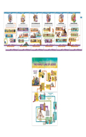 Gospel Project for Kids: Giant Timeline and Family Line of Jesus Posters, Volume 1