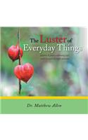 Luster of Everyday Things