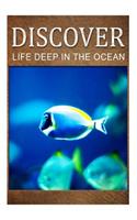 Life Deep In Ocean - Discover