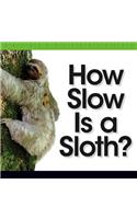 How Slow Is a Sloth?