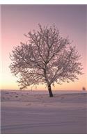 Frost Tree in Winter Journal: 150 page lined notebook/diary