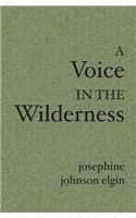 Voice In The Wilderness