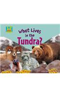 What Lives in the Tundra?