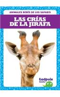 Las Crias de la Jirafa (Giraffe Calves)