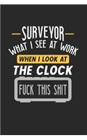 Surveyor What I See At Work