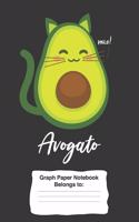 Avogato Graph Paper Notebook