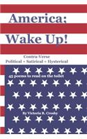 America; Wake Up!