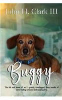 Buggy: The life and times of an 11-pound, four-legged, furry bundle of never-ending neuroses and undying love