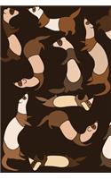 Ferrets Forever