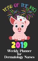 Year of the Pig 2019