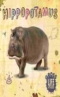 Hippopotamus: (Gross Life Cycles)