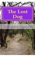 Lost Dog