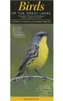 Birds of the Great Lakes: Il, In, Mi, MN, Oh, Wi