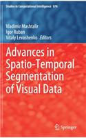 Advances in Spatio-Temporal Segmentation of Visual Data