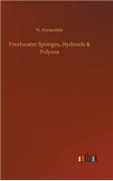 Freshwater Sponges, Hydroids & Polyzoa