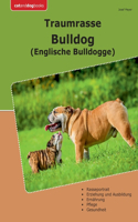 Traumrasse Bulldog