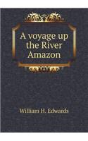 A Voyage Up the River Amazon