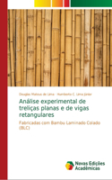 Análise experimental de treliças planas e de vigas retangulares