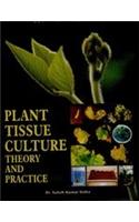 Plant Tissue Culture: Theory and Practice