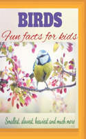 Birds Fun Facts For Kids