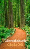 California Redwoods Calendar 2021