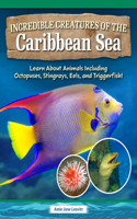Life in the Caribbean Sea