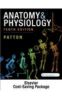 Anatomy & Physiology - Binder-Ready (Includes A&p Online Course)