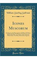 Icones Muscorum: Or Figures and Descriptions of Most of Those Mosses Peculiar to Eastern North America Which Have Not Been Heretofore Figured (Classic Reprint): Or Figures and Descriptions of Most of Those Mosses Peculiar to Eastern North America Which Have Not Been Heretofore Figured (Classic Reprint)