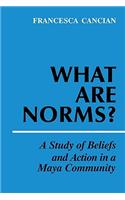 What Are Norms?
