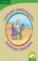 Sitfunti sembongolo naletinye tindzaba (Siswati): (Little Library Life Skills)