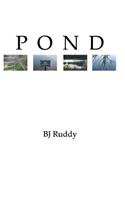 Pond