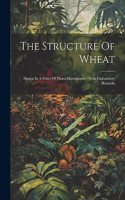 Structure Of Wheat: Shown In A Series Of Photo-micrographs: With Explanatory Remarks