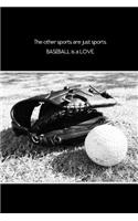 The Other Sports are Just Sports. Baseball is a Love.