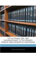 Little Foxes: Or, the Insignificant Little Habits Which Mar Domestic Happiness