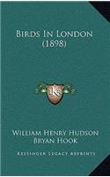 Birds in London (1898)